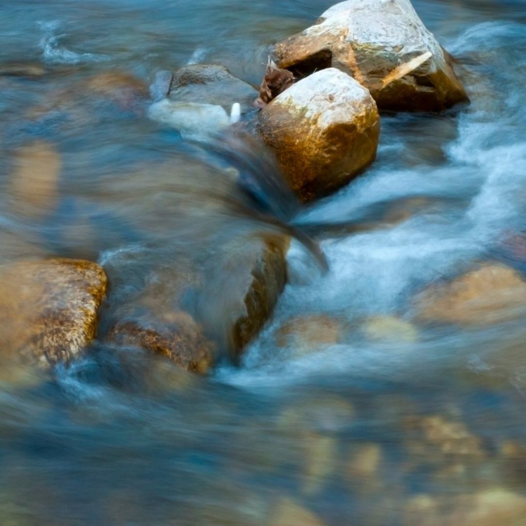 La voie de l'individuation par la nature, l'art, le corps, la voix et les rituels avec Marguerite Lalèyê - Espace Oshoun