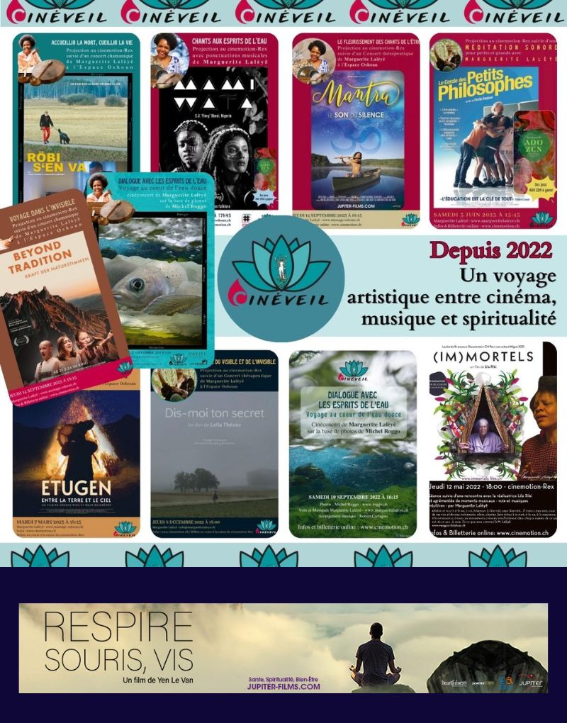 Une fois par saison des rencontres principalement sous la forme de cinéconcerts