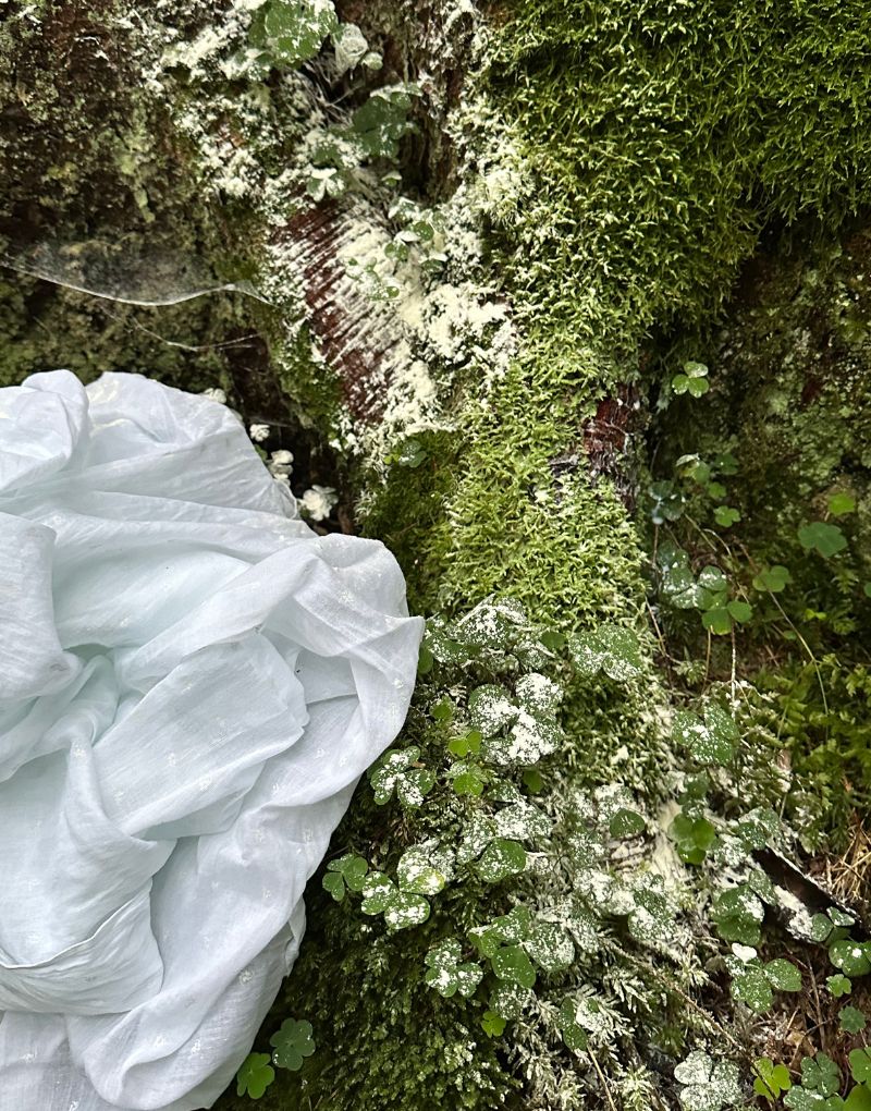 Actes de psychomagie en nature avec Marguerite Lalèyê — accompagnement symbolique en forêt pour la transformation intérieure